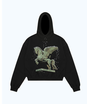 Hoodie Black Horse